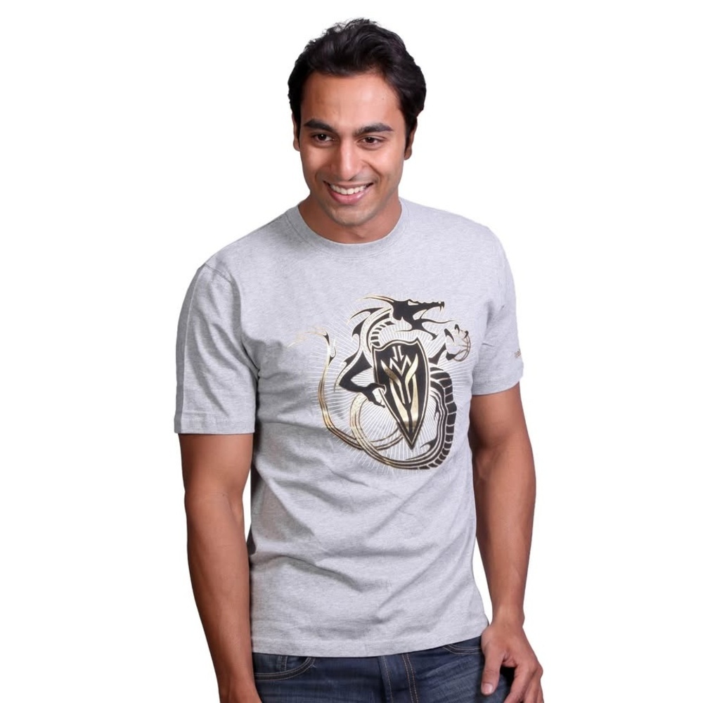 T-Shirt Men's Gray EUC Dragon graphic